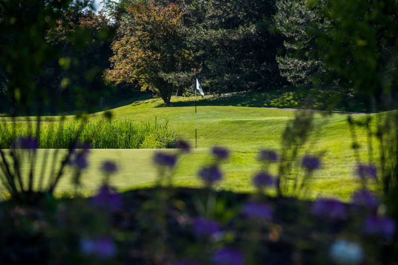 Hole 3 green through flowers